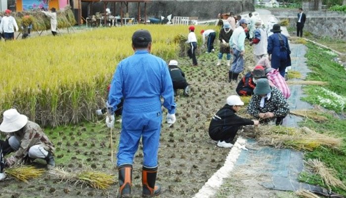 今　誰でも参加できる活動